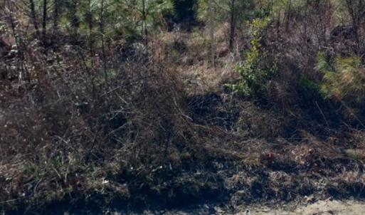 Photo #4 of Lot 9 Saw Mill Lane, Gloucester, Virginia 5.3 acres