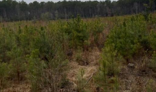 Photo #5 of Lot 9 Saw Mill Lane, Gloucester, Virginia 5.3 acres