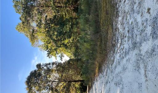 Photo #9 of 16.4ac Plainview Drive, Saluda, Virginia 16.4 acres