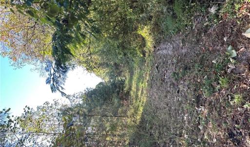 Photo #10 of 16.4ac Plainview Drive, Saluda, Virginia 16.4 acres