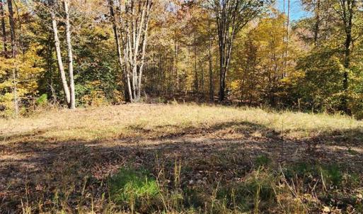 Photo #11 of 16.4ac Plainview Drive, Saluda, Virginia 16.4 acres