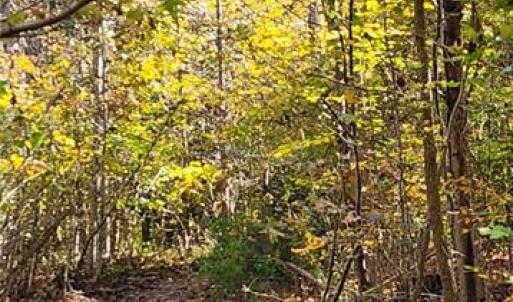 Photo #12 of 16.4ac Plainview Drive, Saluda, Virginia 16.4 acres