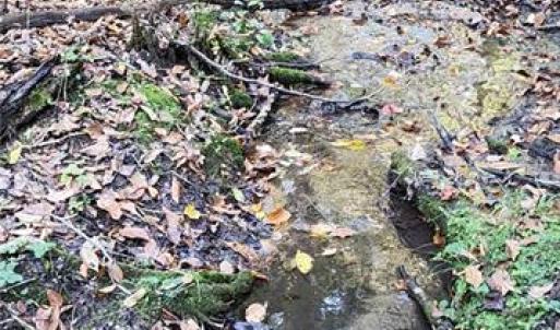 Photo #5 of 16.4ac Plainview Drive, Saluda, Virginia 16.4 acres