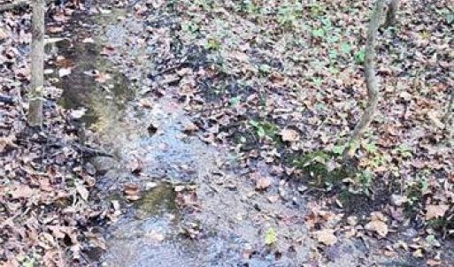 Photo #7 of 16.4ac Plainview Drive, Saluda, Virginia 16.4 acres