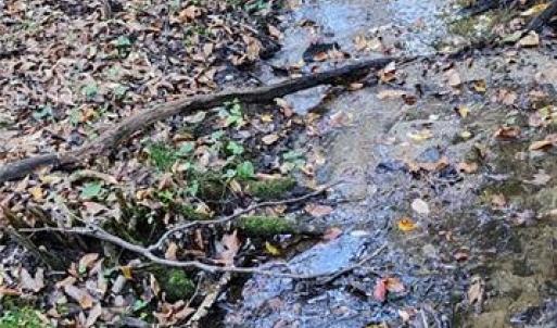 Photo #8 of 16.4ac Plainview Drive, Saluda, Virginia 16.4 acres