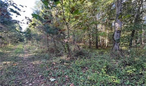 Photo #9 of 16.4ac Plainview Drive, Saluda, Virginia 16.4 acres