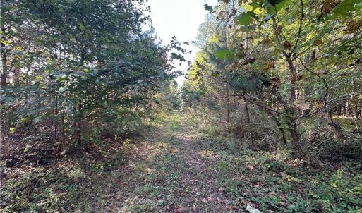 Photo #2 of 16.4ac Plainview Drive, Saluda, Virginia 16.4 acres
