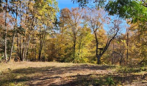 Photo #13 of 16.4ac Plainview Drive, Saluda, Virginia 16.4 acres