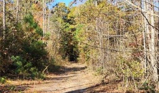 Photo #15 of 16.4ac Plainview Drive, Saluda, Virginia 16.4 acres