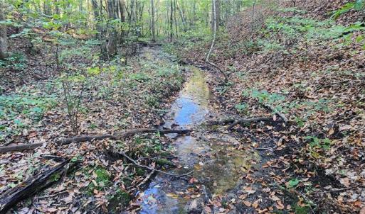 Photo #3 of 16.4ac Plainview Drive, Saluda, Virginia 16.4 acres