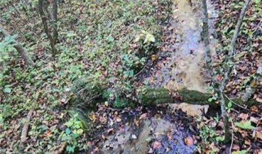 Photo #6 of 16.4ac Plainview Drive, Saluda, Virginia 16.4 acres