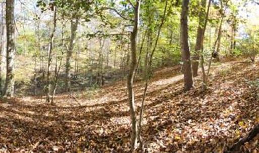 Photo #10 of 16.4ac Plainview Drive, Saluda, Virginia 16.4 acres