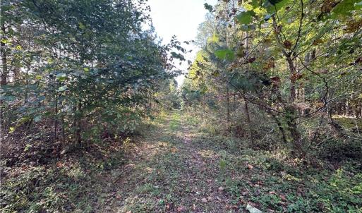 Photo #1 of 16.4ac Plainview Drive, Saluda, Virginia 16.4 acres