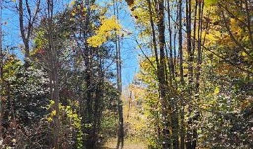 Photo #14 of 16.4ac Plainview Drive, Saluda, Virginia 16.4 acres
