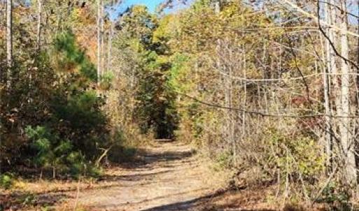 Photo #15 of 16.4ac Plainview Drive, Saluda, Virginia 16.4 acres