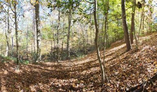 Photo #16 of 16.4ac Plainview Drive, Saluda, Virginia 16.4 acres