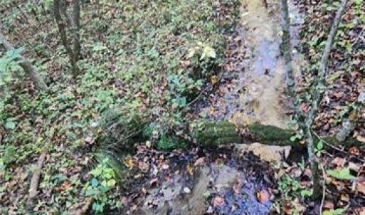 Photo #6 of 16.4ac Plainview Drive, Saluda, Virginia 16.4 acres