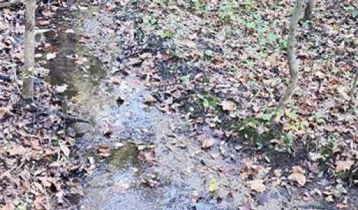 Photo #7 of 16.4ac Plainview Drive, Saluda, Virginia 16.4 acres