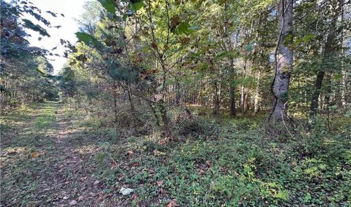 Photo #9 of 16.4ac Plainview Drive, Saluda, Virginia 16.4 acres