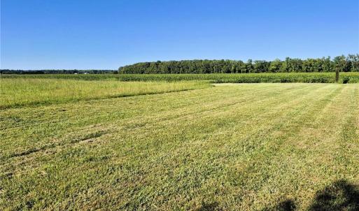 Photo #16 of 2212 Carolina Road, Chesapeake, Virginia 5.9 acres