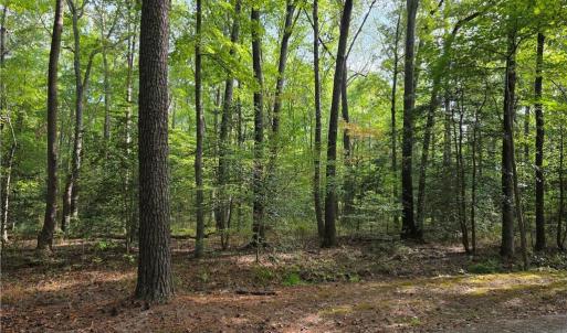 Photo #1 of Bermuda Road Road, Lancaster, Virginia 1.3 acres