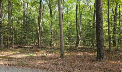 Photo #3 of Bermuda Road Road, Lancaster, Virginia 1.3 acres