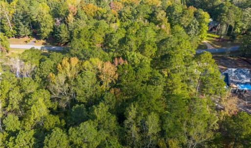 Pretty trees on level lot.