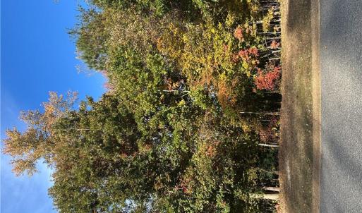 Photo #3 of 208 Monifieth, Williamsburg, Virginia 0.5 acres