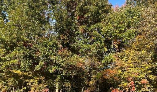 Photo #5 of 208 Monifieth, Williamsburg, Virginia 0.5 acres