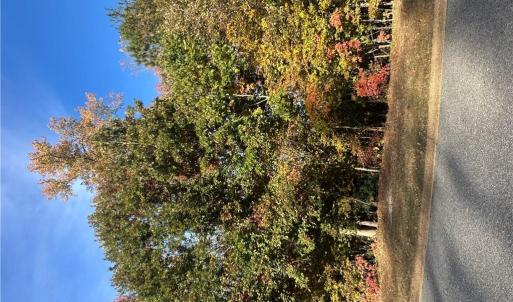 Photo #6 of 208 Monifieth, Williamsburg, Virginia 0.5 acres