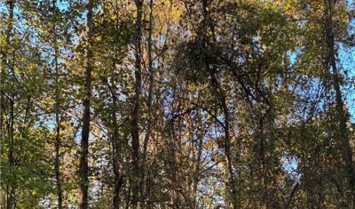 Left pin of property frontage