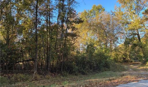 Photo #5 of 1.23ac Burnt Reed Road, Boykins, Virginia 1.2 acres