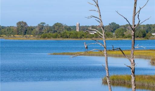 Photo #4 of 25+AC Glass Road, Hayes, Virginia 26.0 acres