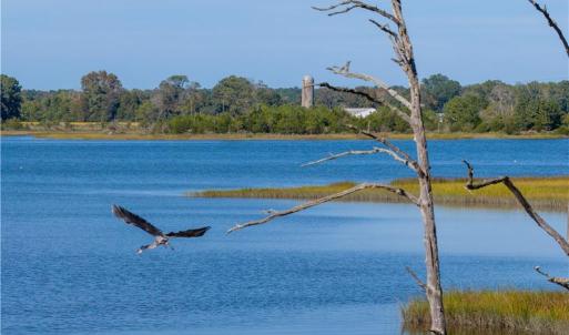 Photo #16 of 25+AC Glass Road, Hayes, Virginia 26.0 acres