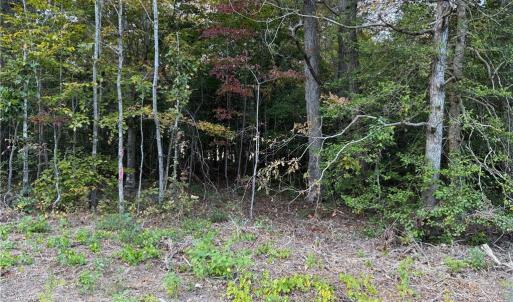 Photo #3 of 3AC Hog Island Lot 3 Road, Surry, Virginia 3.0 acres