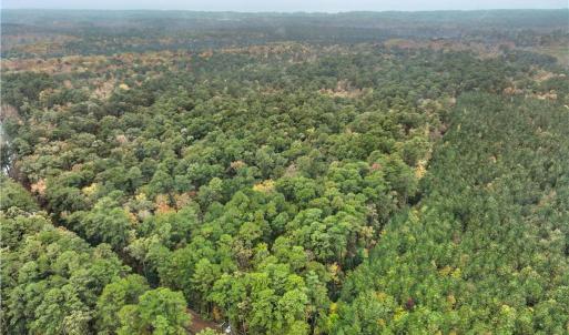 Photo #11 of 25+AC Low Ground Road, Hayes, Virginia 27.0 acres