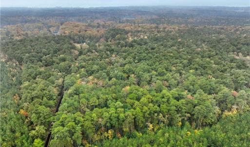 Photo #10 of 25+AC Low Ground Road, Hayes, Virginia 27.0 acres
