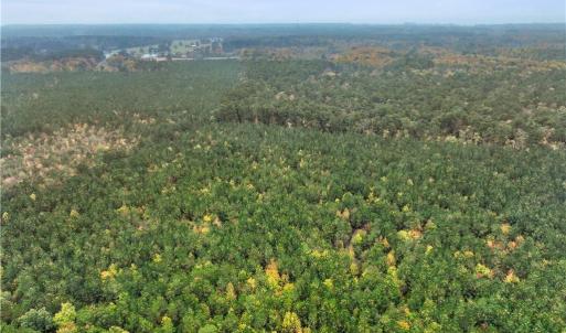 Photo #14 of 25+AC Low Ground Road, Hayes, Virginia 27.0 acres