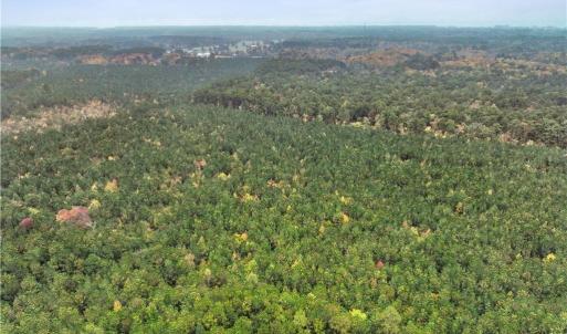 Photo #15 of 25+AC Low Ground Road, Hayes, Virginia 27.0 acres