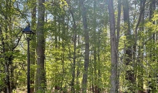 Photo #2 of 106 Dyke, Williamsburg, Virginia 0.3 acres