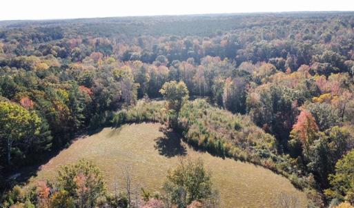 Photo #11 of 4720 Wightman Road, Chase City, Virginia 70.0 acres