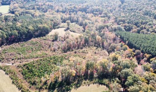 Photo #12 of 4720 Wightman Road, Chase City, Virginia 70.0 acres
