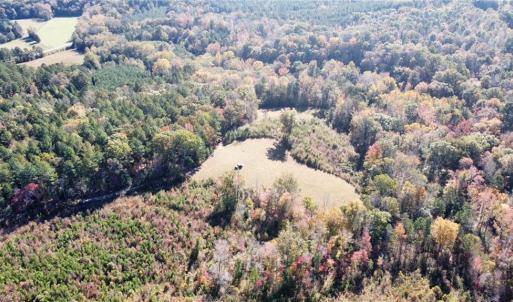 Photo #13 of 4720 Wightman Road, Chase City, Virginia 70.0 acres