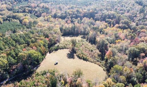 Photo #14 of 4720 Wightman Road, Chase City, Virginia 70.0 acres