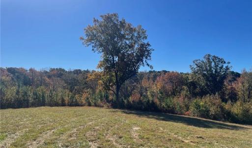 Photo #15 of 4720 Wightman Road, Chase City, Virginia 70.0 acres