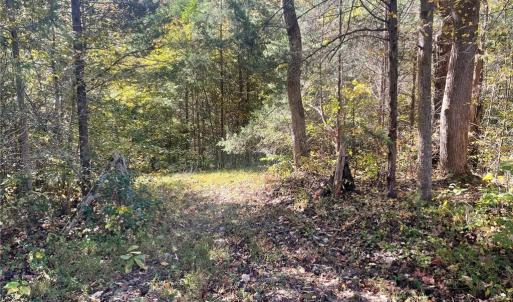 Photo #18 of 4720 Wightman Road, Chase City, Virginia 70.0 acres