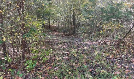 Photo #19 of 4720 Wightman Road, Chase City, Virginia 70.0 acres