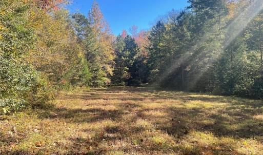 Photo #20 of 4720 Wightman Road, Chase City, Virginia 70.0 acres