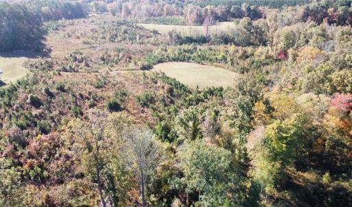 Photo #3 of 4720 Wightman Road, Chase City, Virginia 70.0 acres
