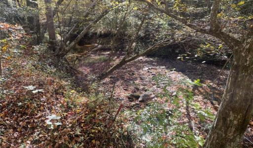 Photo #21 of 4720 Wightman Road, Chase City, Virginia 70.0 acres